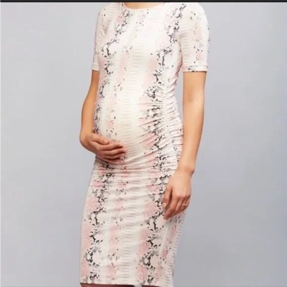 Isabella Oliver Dresses & Skirts - Isabella Oliver Jade Ruched Maternity Dress Blush Snake Print Size L